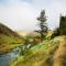 Birches Cottage & the Willows Garden Room - Underberg