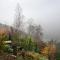Birches Cottage & the Willows Garden Room