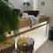Hotel Palatia