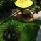 O Veleiro Bed and Breakfast