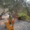 Manora Sucuraj one bedroom apartment