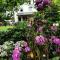 Green Garden house