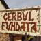 CASA CERBUL