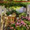 Guest House Nikolovi