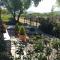 STONE HOUSE VLASTA