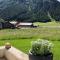 Nonas B&B