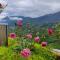 Sapa Clay House - Mountain Retreat