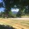 Mount Shasta Ranch Bed and Breakfast