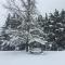 Mount Shasta Ranch Bed and Breakfast