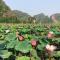 Tam Coc Heart Homestay