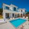 Queen of Zakynthos Luxury Villas - Амуді