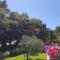 Cabane dans les arbres "La Kaz aux Cigales" - Cuers