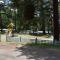 Camping Domaine du Lac Chambon photo 14