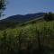 Gîte de charme au coeur du vignoble alsacien - Bernardvillé