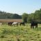 Domaine La Longre photo 23