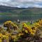 Rooms at Elmbank near Loch Ness - Drumnadrochit