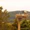 Hostal La Llave