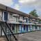 Blue Moon Motel