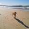 Beachcomber - Pet Friendly