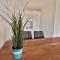 Ferienwohnung Ebbe & Flut