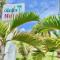 Glades Motel - Naples