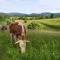 Tourist Farm Strle With Great Local Food