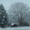 Historic cabin off I-77, views, antiques, Wi-fi, wonderful experience for 2!