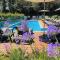 Rooms Oasis Life