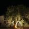 Masseria Cesarina B&B