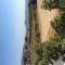Aronis Plaka Naxos