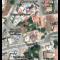 Hermes complex1 paralimni