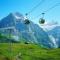 Berggasthaus First - Only Accessible by Cable Car - Grindelwald