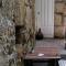 Slow City Hostel Pontevedra - Pontevedra
