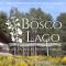 Tra il bosco e il lago