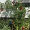 Vor den Toren Bambergs - Einfamilienhaus mit Garten! - Viereth-Trunstadt