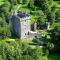 Wellfield Farmhouse - Tipperary