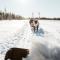 Lapland Hotels Riekonlinna