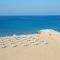 Hotel Amore Beach - All Inclusive