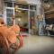 Xincun Seed Homestay