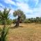Panos House