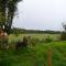 Peaceful Shepherd's Hut next to Horse Field - Morpeth