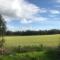 Peaceful Shepherd's Hut next to Horse Field - Morpeth