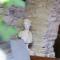 Lazaros Stonehouse