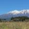 Tongariro Suites - Ohakune