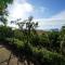 Panoramic Villa Near The Sea