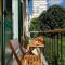 Sailor Boutique Rooms