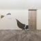 3rd PLACE by HIDEOUT - Fujisawa