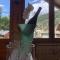 Chalet lAtelier