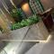 AP Hotel Boutique