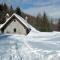 Rustic Cabin